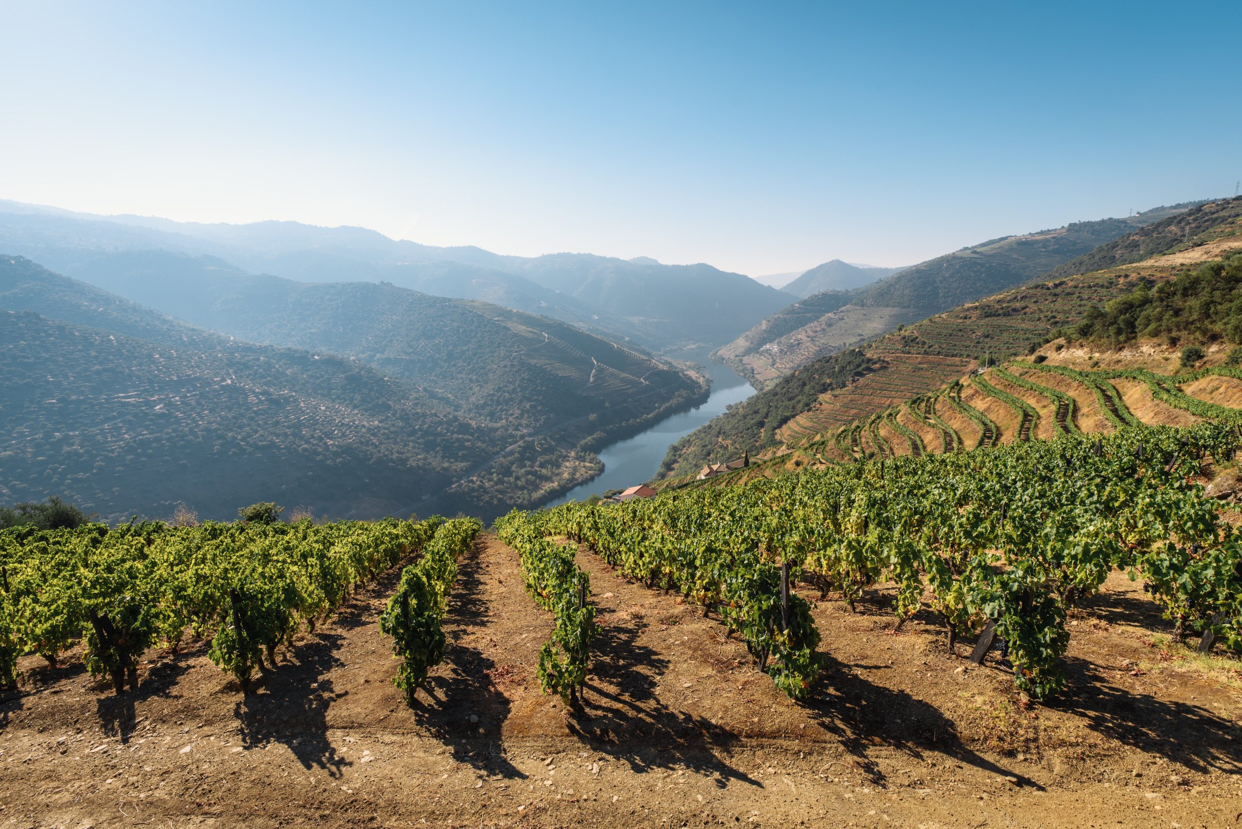 Údolí Douro