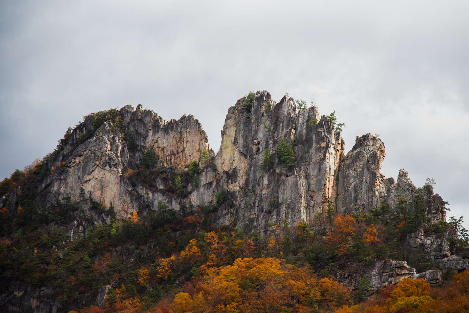 Odkryj majestatyczne rocki Seneca, Zachodnia Wirginia