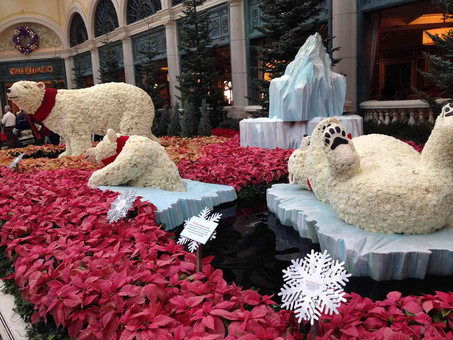 Przewodnik po Boże Narodzenie w Las Vegas: pogoda, dekoracje i wydarzenia