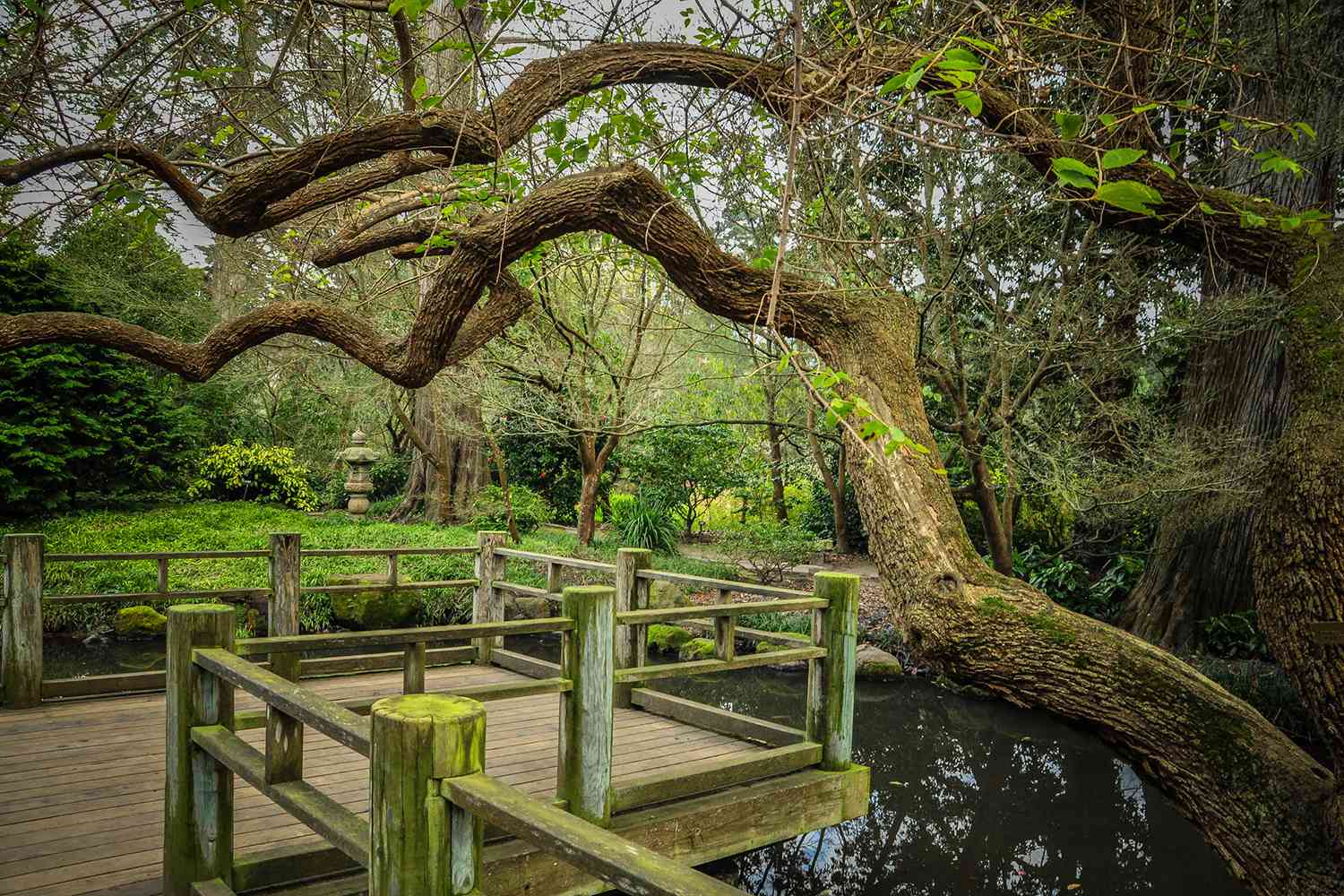 5 najlepszych rzeczy do zrobienia w Kelley Park, San Jose