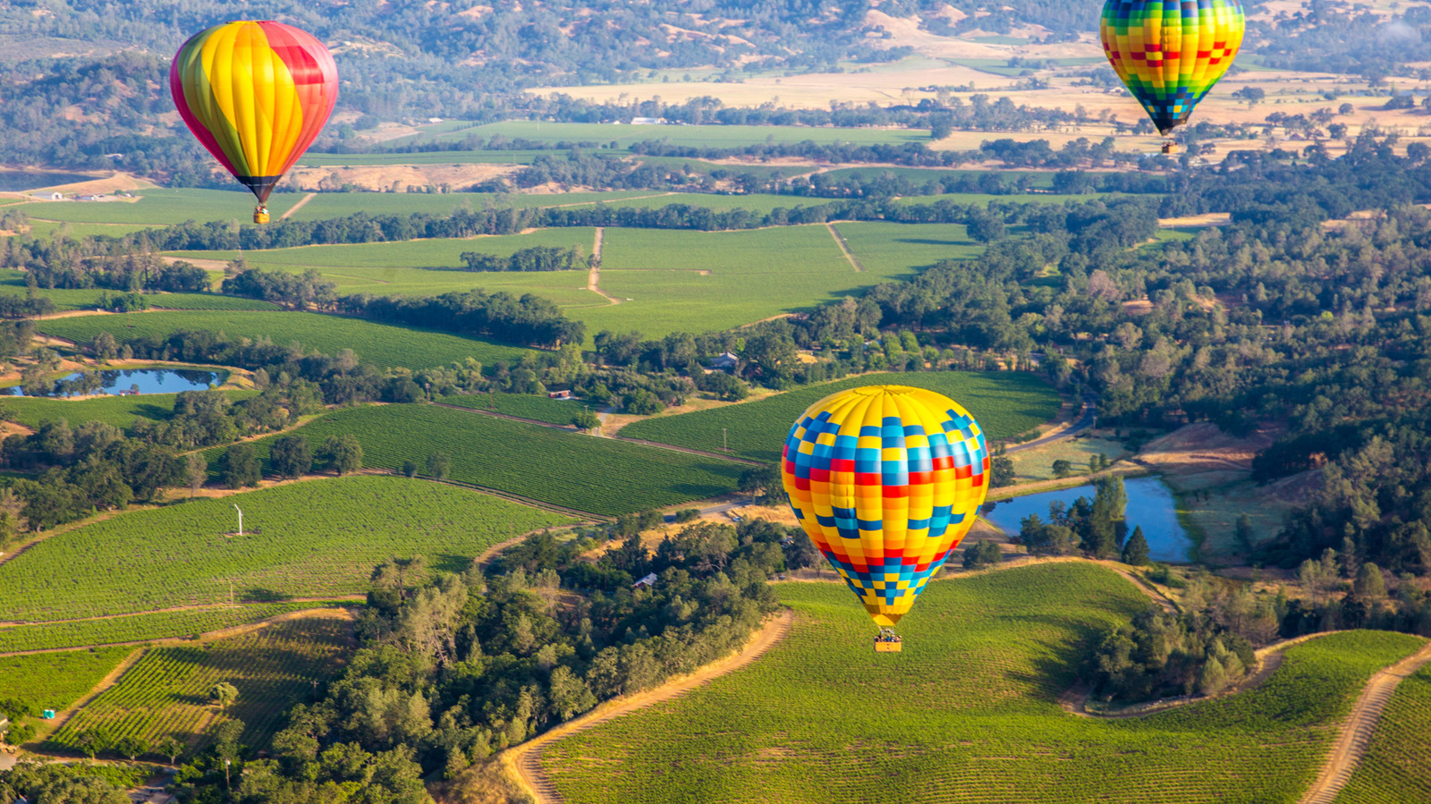 Najpopularniejszy region winiarski w Kalifornii jest pełen winnic i malowniczych widoków